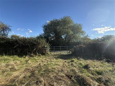 Picture 11